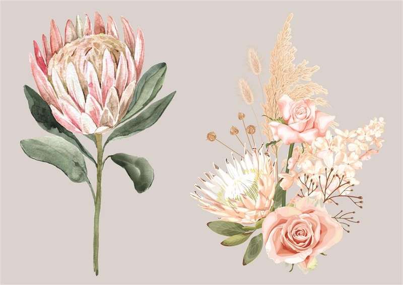 DTF Pre-Prints - Flower 01