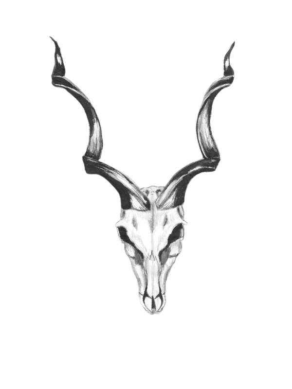 DTF Pre-Prints - Skull 05