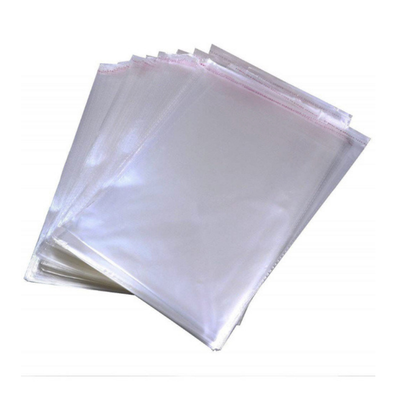 Plastic Bag with Reclosable Seal - 225x280mm (T-Shirt Size) - Pack of 100