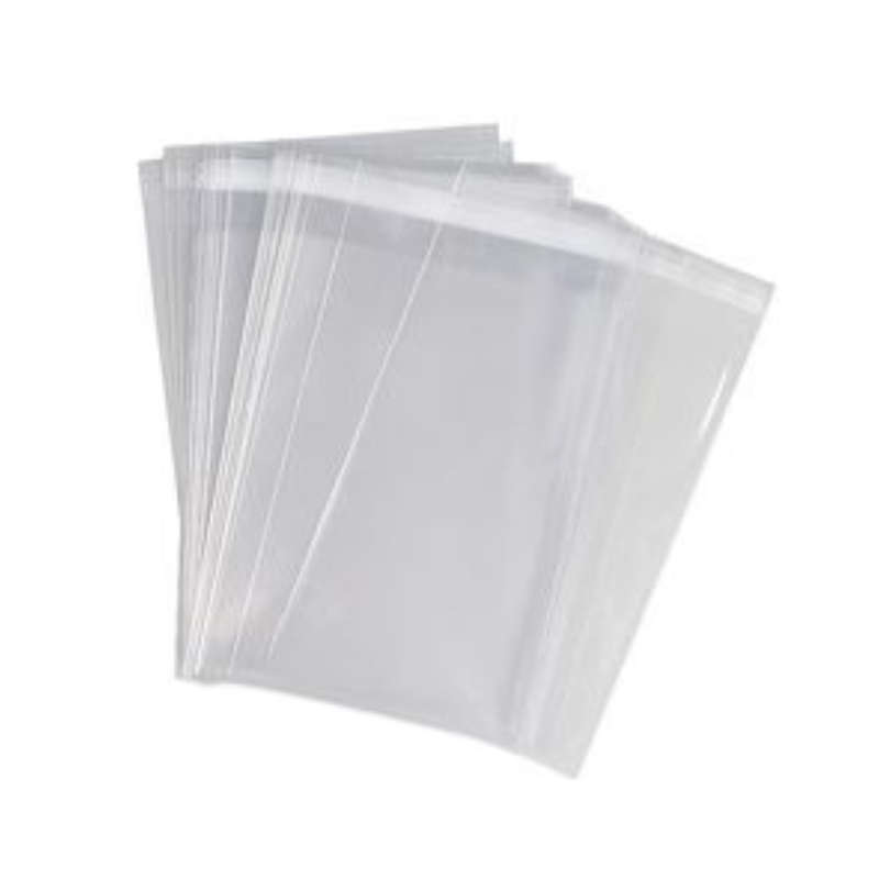Plastic Bag with Reclosable Seal - 235x315mm (Paper Size) - Pack of 100