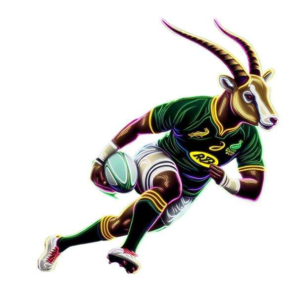 DTF Pre-Prints - Springbok Player