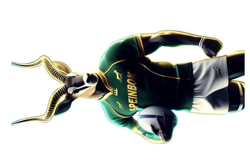 DTF Pre-Prints - Springbok Player
