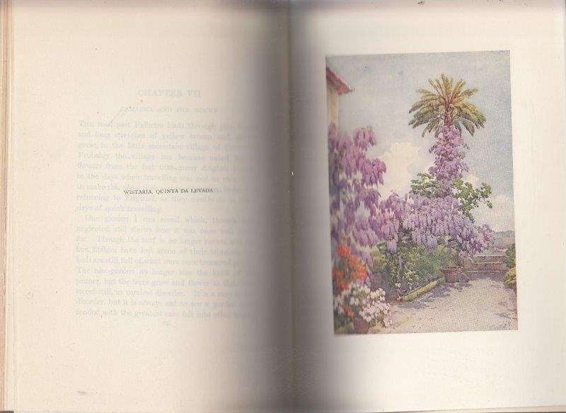 The Flowers and Gardens of Madeira - du Cane, Florence & du Cane, Ella