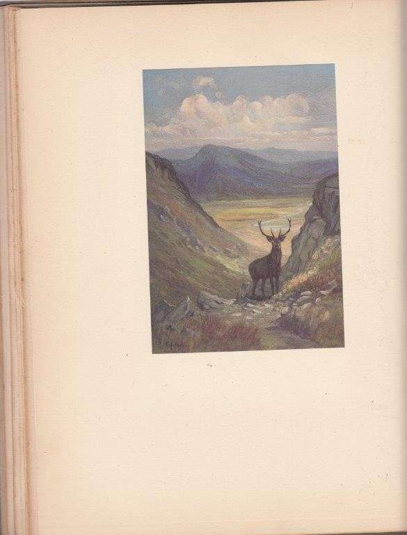 The Gun Room Guide - Pollard, Hugh B. C.