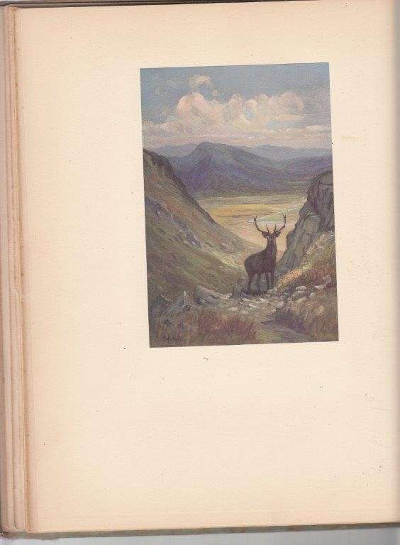 The Gun Room Guide - Pollard, Hugh B. C.