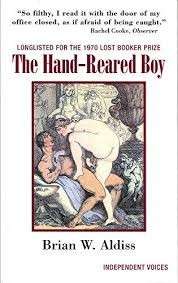 The Hand-Reared Boy - Aldiss, Brian W.