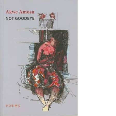 Not Goodbye - Amosu, Akwe