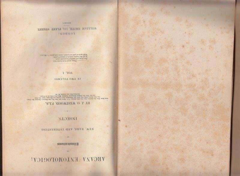 Arcana Entomologica (1845, Standard Edition) - Westwood, John Obadiah