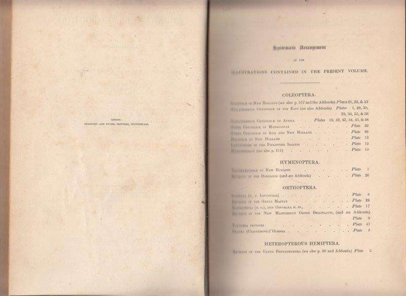 Arcana Entomologica (1845, Standard Edition) - Westwood, John Obadiah