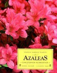 Azaleas (Classic Garden Plants) - Fairweather, Christopher