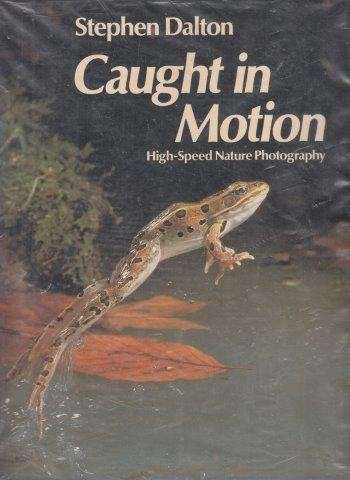 Caught In Motion - Dalton, Stephen