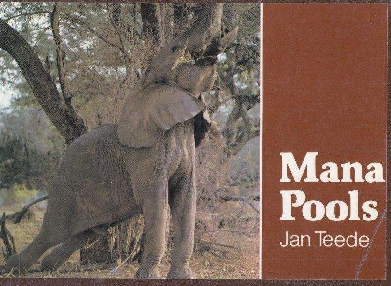 Mana Pools - Teede, Jan