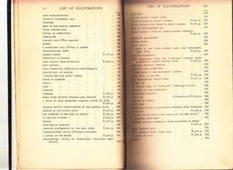On Safari: Big-Game Hunting In British East Africa With Studies In Bird-Life (1908 First Edition)