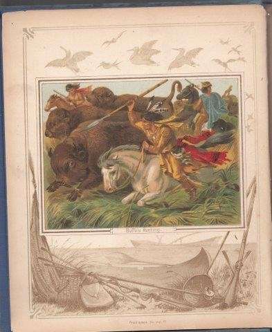 Sketches of Adventure and Sport: A Book for Boys - Groves, J. Percy.