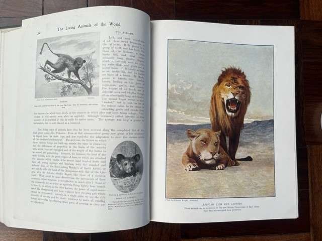 The Living Animals of the World Vol. I Mammals & Vol. II - Selous, Cornish