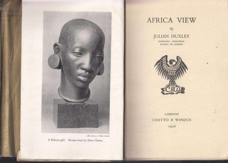 Africa View (Hardcover) - Huxley, Julian