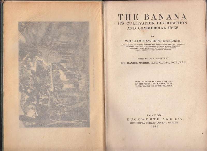 The Banana - Its Cultivation, Distribution and Commercial Uses (Hardcover) - Fawcett, William