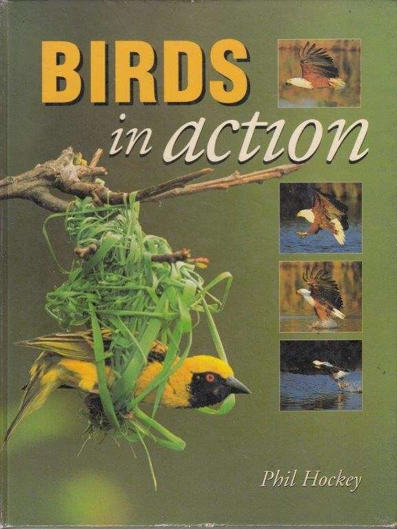 Birds In Action (Hardcover) - Hockey, Phil