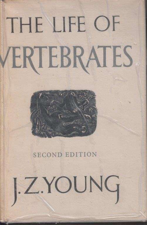 The Life of Vertebrates (Hardcover) - Young, J. Z.