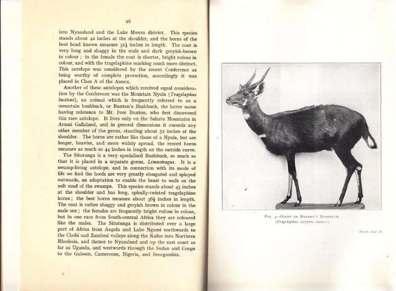 African Antelopes- Supplement to the Journal of the Royal African Society Vol. XXXV, No. CXLI