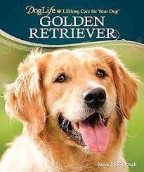 Golden Retriever (Hardcover with DVD) - McCullough, Susan