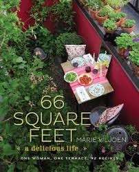 66 Square Feet (Hardcover) - Viljoen, Marie