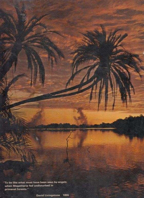 Zambezi South - An Explorers View of Africa South of the Zambezi (Hardcover) - Sinclair, John