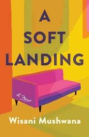 A Soft Landing - Mushwana, Wisani