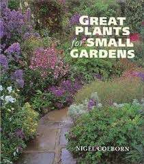 Great Plants for Small Gardens - Colborn, Nigel