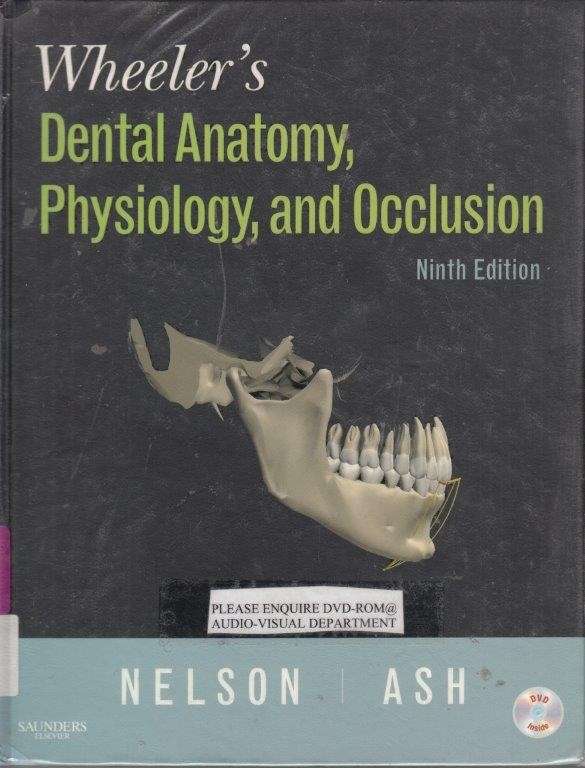 Wheeler's Dental Anatomy, Physiology, And Occlusion (Hardcover) - Nelson, Stanley J.