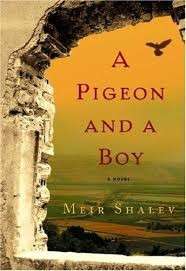 A Pigeon and a Boy: A Novel (Hardcover) - Shalev, Meir