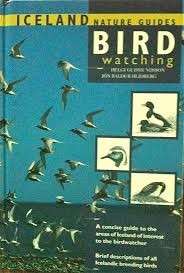 Bird Watching - A Concise Guide To The Areas Of Iceland Of Interest to the Birdwatcher