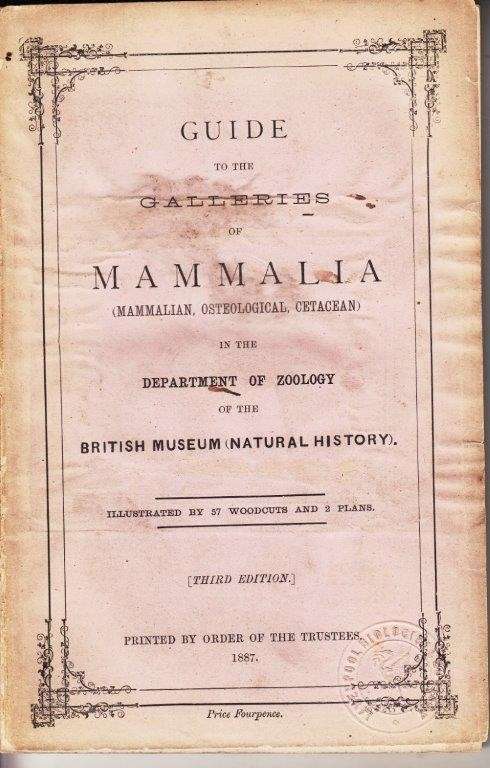 Guide to the Galleries of Mammalia (Mammalian Osteological Cetacean)