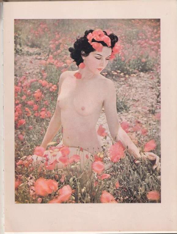 Judgement of Paris (Hardcover) - Everard, John