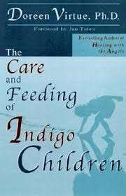 The Care and Feeding of Indigo Children - Virtue, Doreen