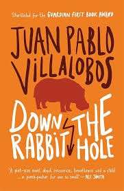 Down the Rabbit Hole - Villalobos, Juan Pablo