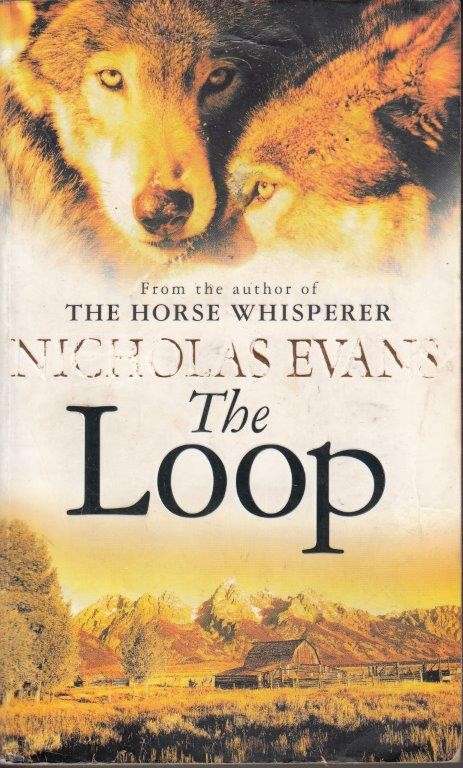 The Loop - Evans, Nicholas