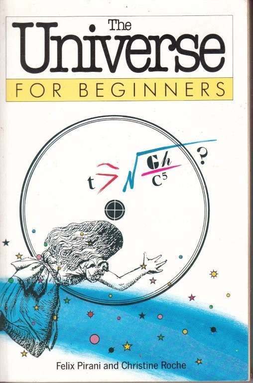 The Universe for Beginners - Pirani, Felix & Roche, Christine