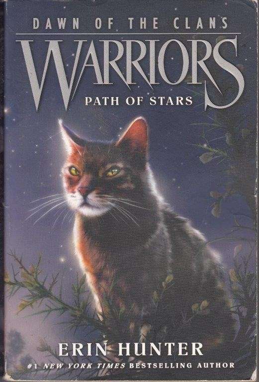 Warriors: Path Of Stars (Dawn of the Clans 6) - Hunter, Erin