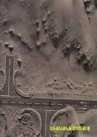 Sharjah Biennial 8: Art, Ecology, and the Politics of Change - Qasimi, Hoor Al