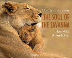 The Soul of the Savanna: How Wild Animals Feel (Hardcover) - Staebler, Gabriela