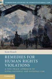 Remedies for Human Rights Violations: A Two-Track Approach to Supra-national and National Law (Hardc