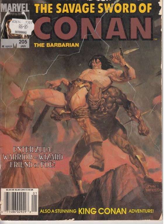 The Savage Sword of Conan the Barbarian - Volume No 205 Jan 1993 - DeFalco, Tom