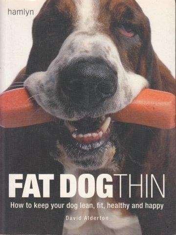 Fat Dog Thin - Alderton, David