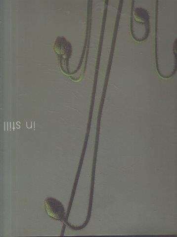 In Still Light (Signed) - Stanes, Marc