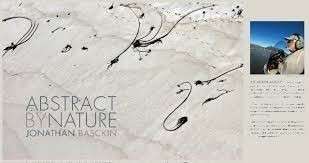 Abstract by Nature (Signed) - Basckin, Jonathan