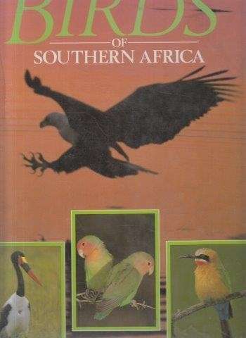 Birds of Southern Africa - Steyn, Peter
