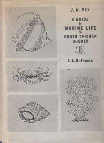 A Guide to Marine Life on South African Shores - Day, J. H.