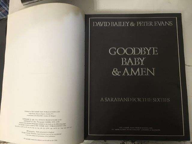 Goodbye Baby & Amen: A Saraband for the Sixties - Bailey, David