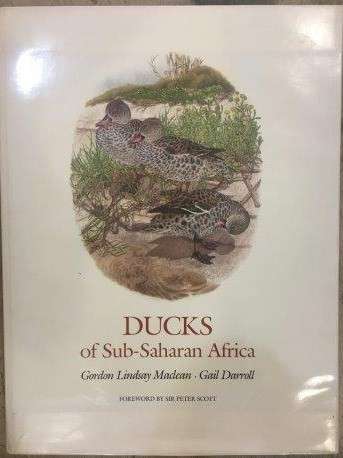 Ducks of Sub-Saharan Africa - Maclean, Gordon Lindsay & Darroll, Gail